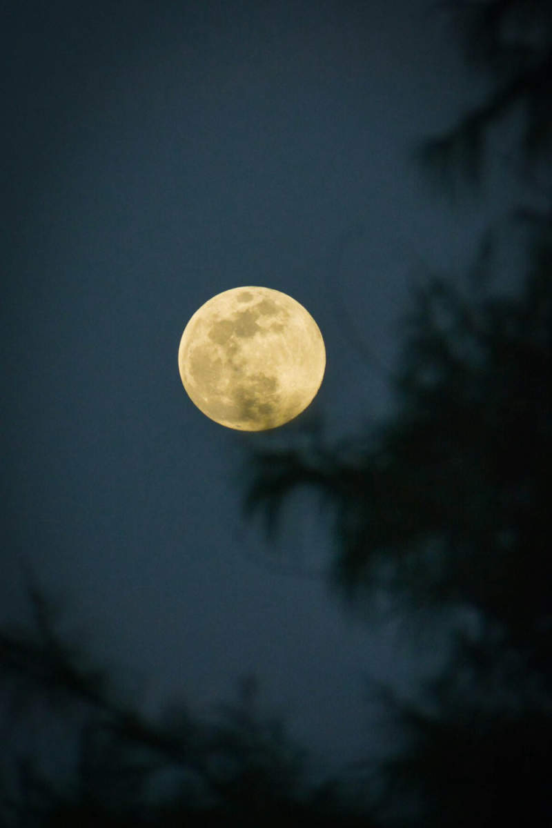 Wall Poster - Full Moon in the Maldives