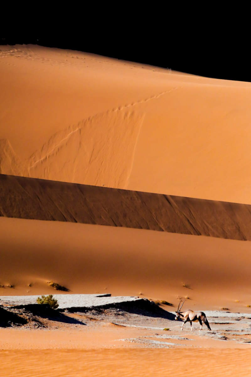 Wall Poster - Full Moon in the Namib Desert