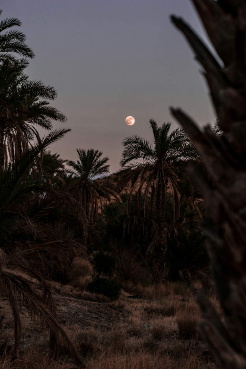 Wall Poster - Full Moon in the Sahara