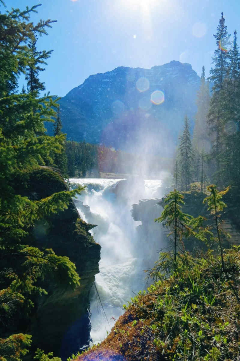 Wall Poster - Geyser in Banff