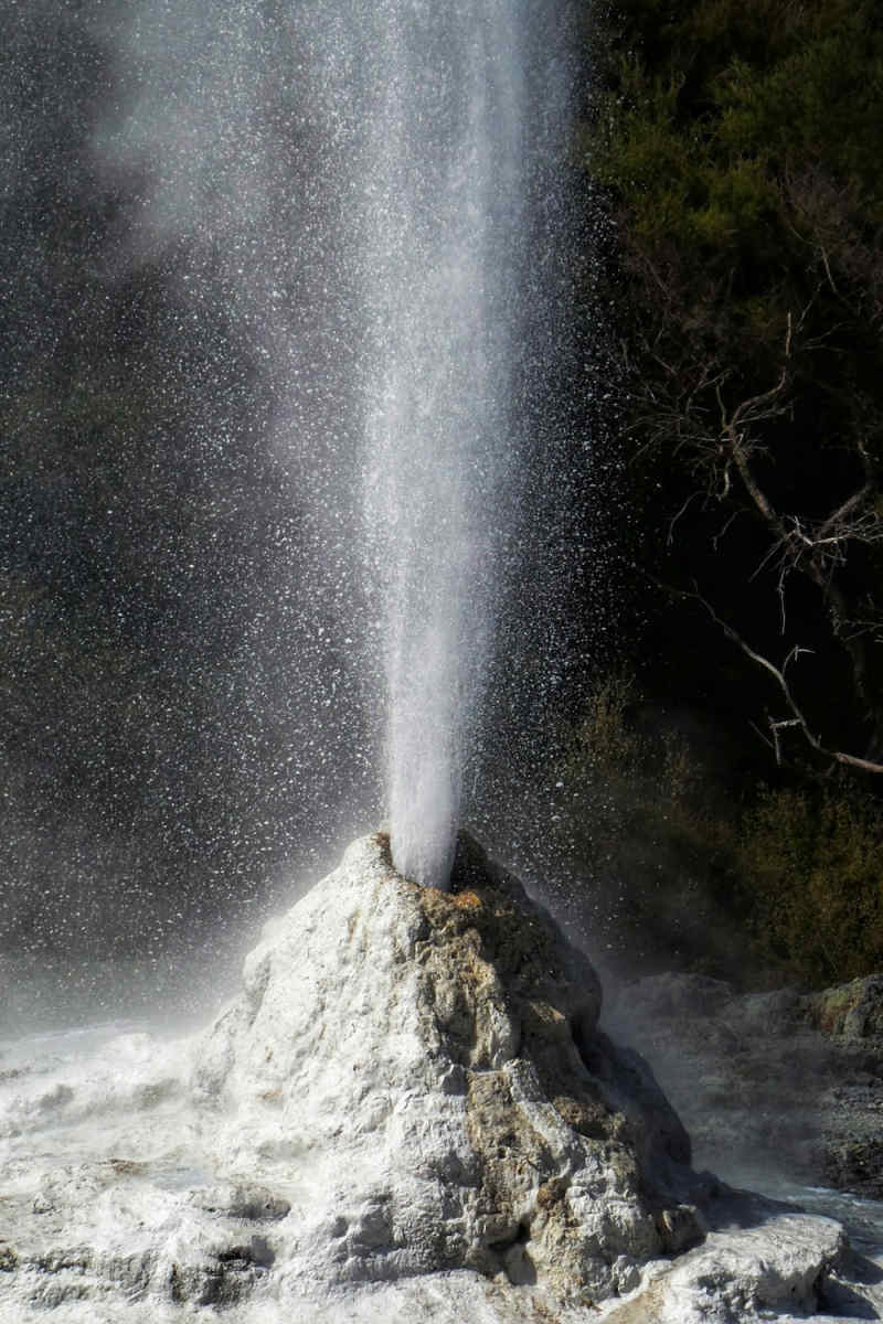 Wall Poster - Geyser in New Zealand