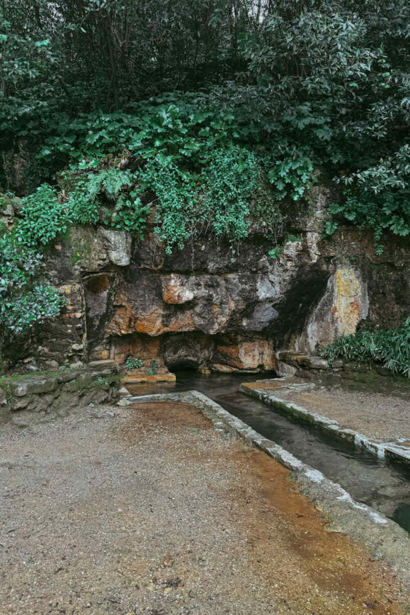 Wall Poster - Geyser in Sintra