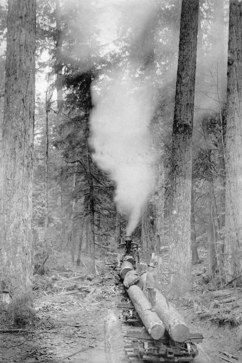 Wall Poster - Geyser in the Black Forest