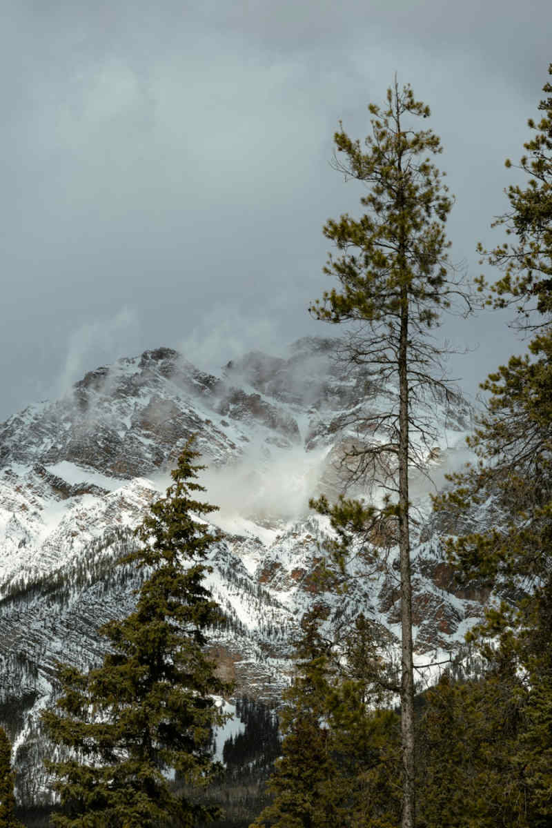 Wall Poster - Geyser in the Rocky Mountains