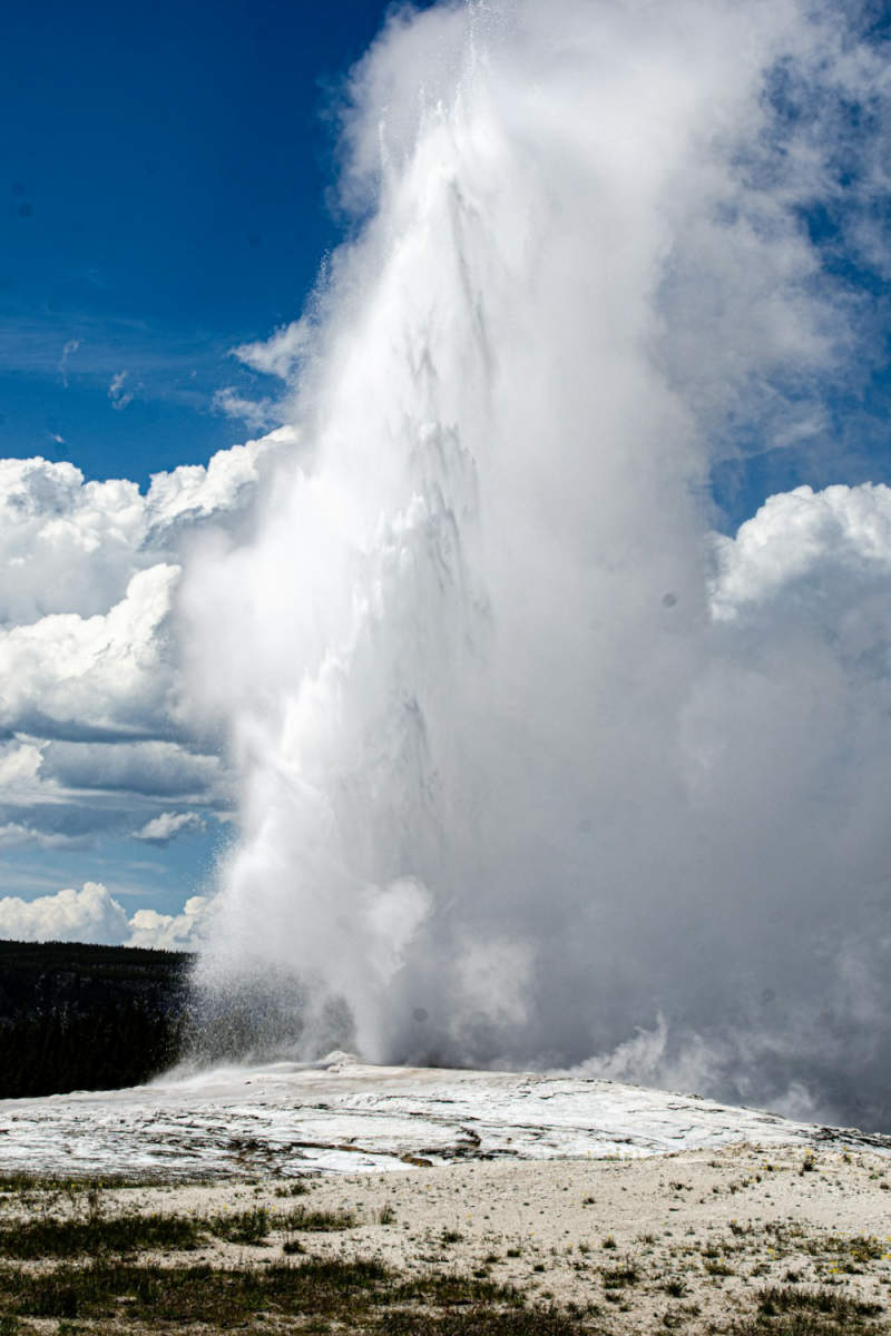 Wall Poster - Geyser in Yellowstone