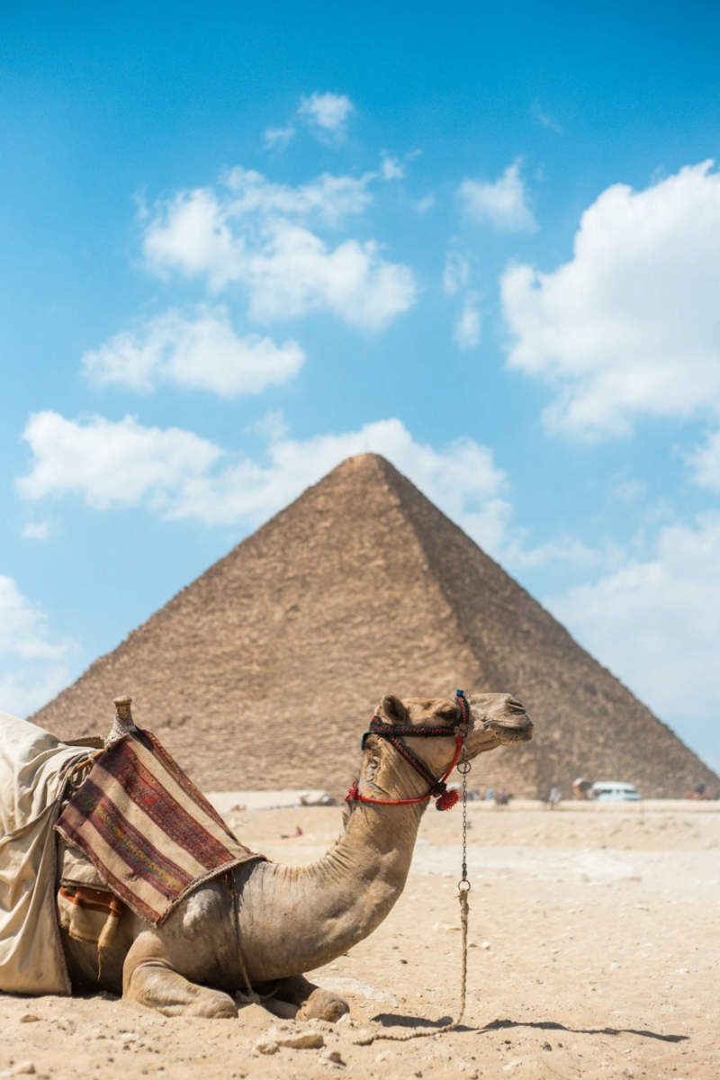 Wall Poster - Harbor in Egypt