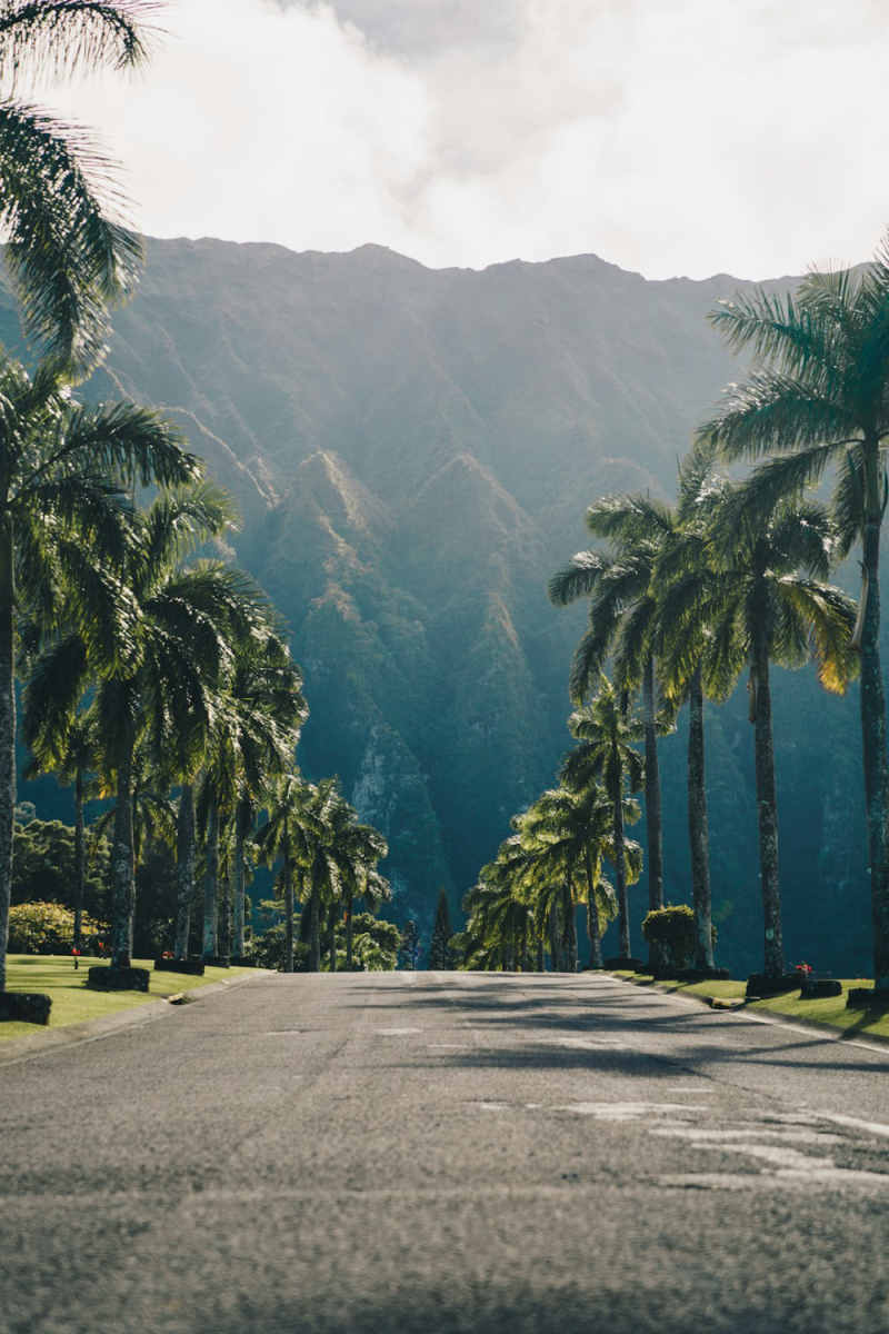 Wall Poster - Harbor in Hawaii
