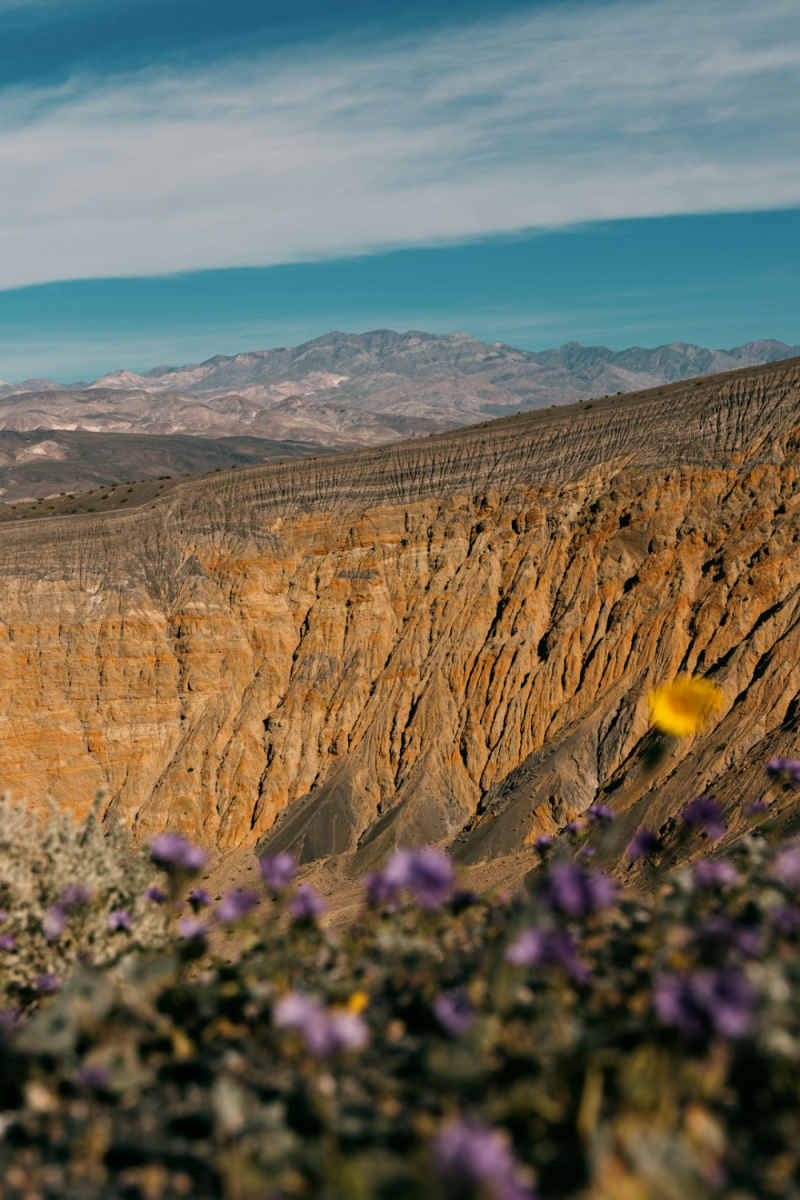 Wall Poster - Hot Air Balloons in Death Valley