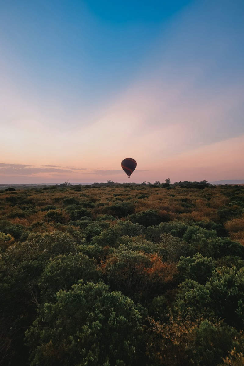 Wall Poster - Hot Air Balloons in Kenya