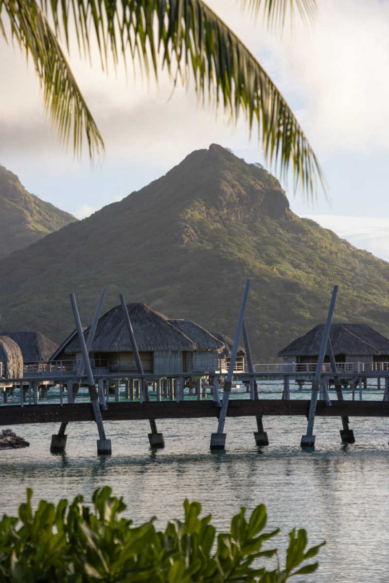 Wall Poster - Hot Spring in Bora Bora