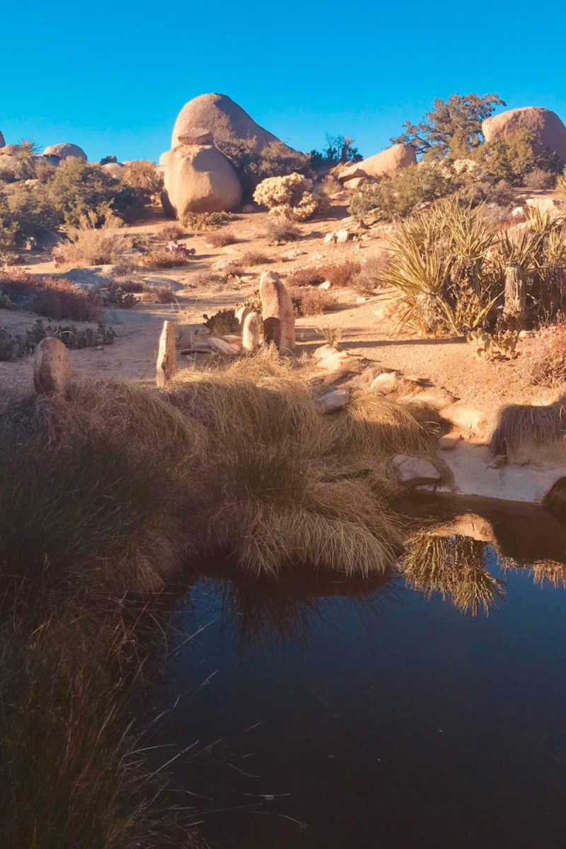 Wall Poster - Hot Spring in Joshua Tree