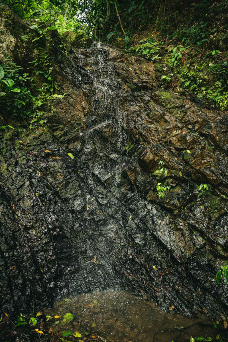 Wall Poster - Hot Spring in the Amazon Rainforest
