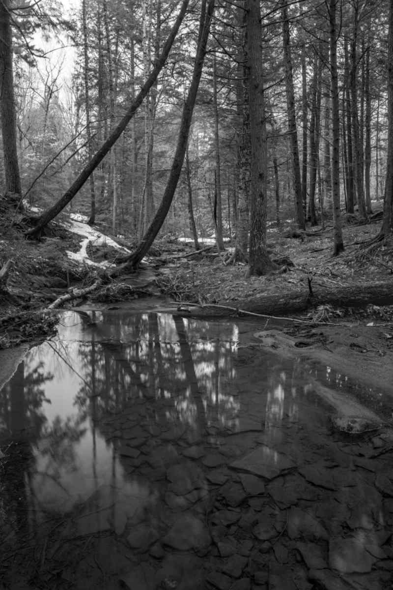 Wall Poster - Hot Spring in the Black Forest