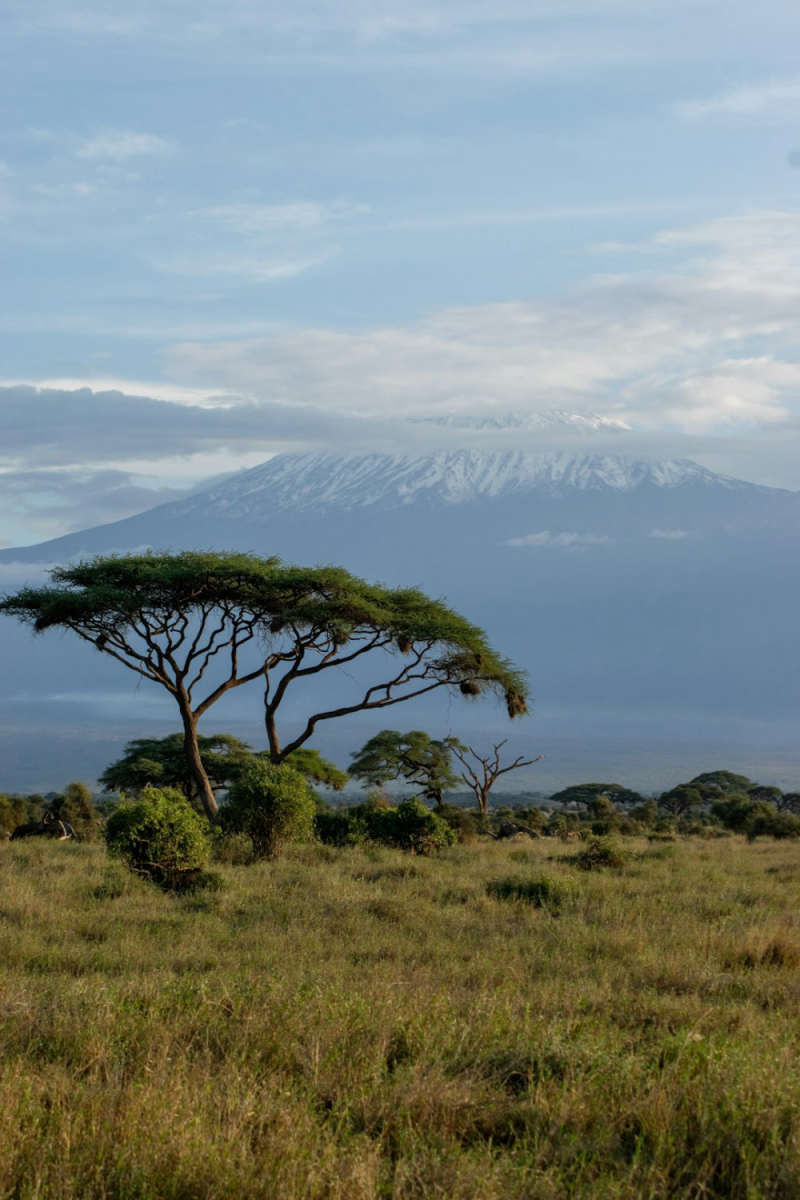 Wall Poster - Iceberg in Kenya