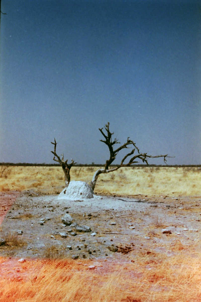 Wall Poster - Iceberg in Namibia