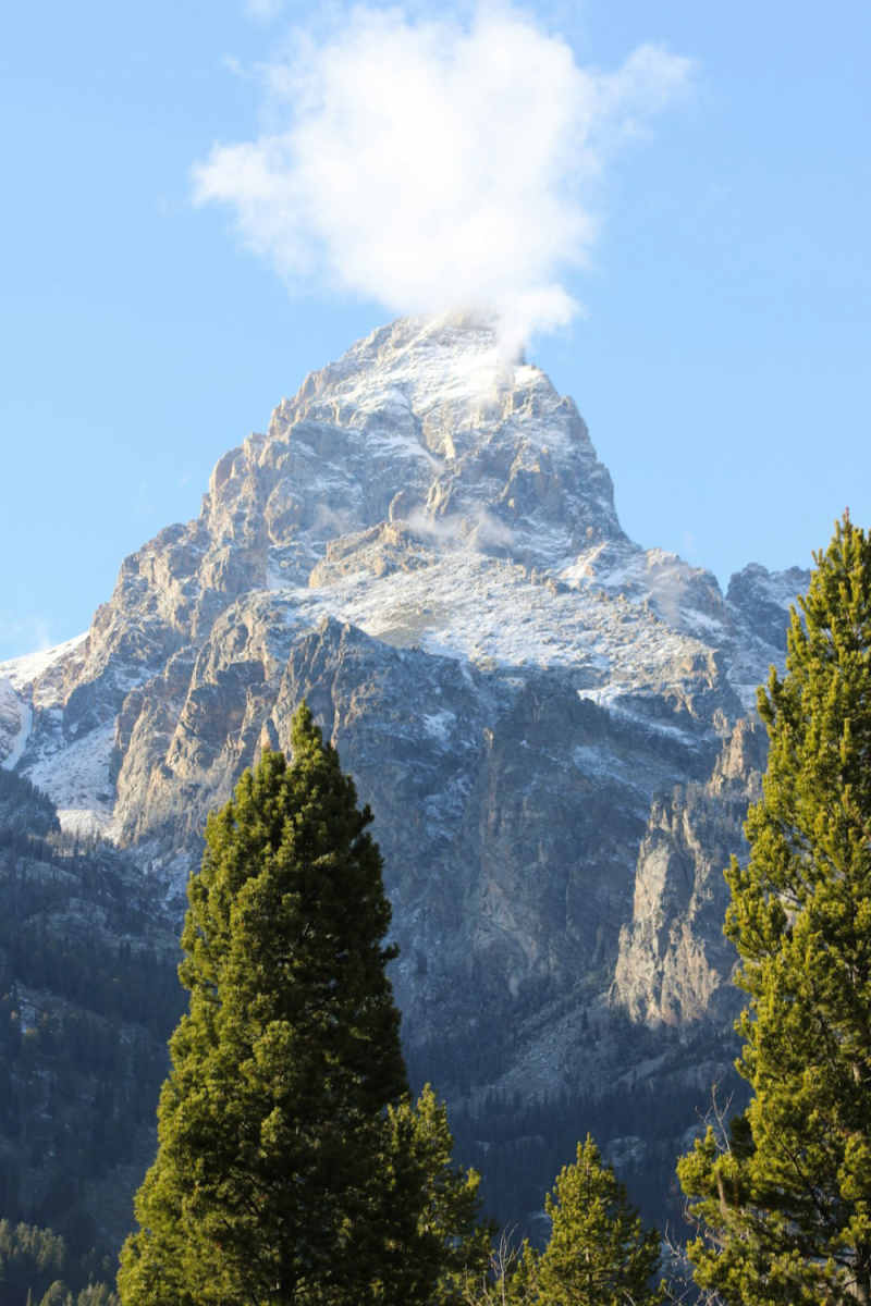 Wall Poster - Iceberg in the Grand Tetons