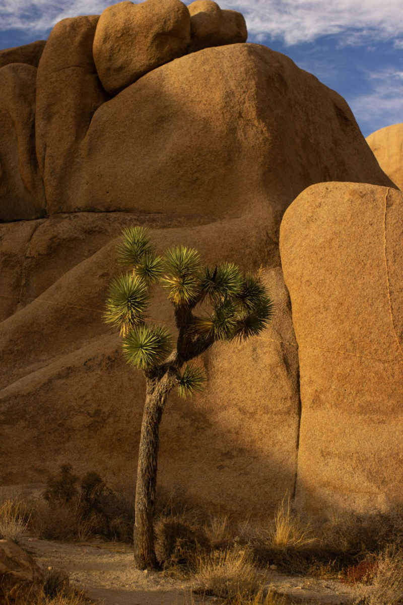 Wall Poster - Ice Cave in Joshua Tree