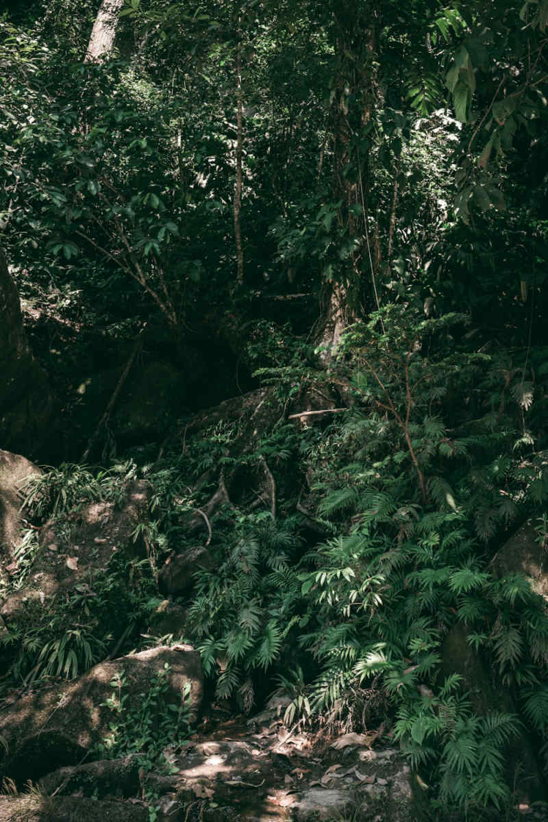 Wall Poster - Ice Cave in the Amazon Rainforest