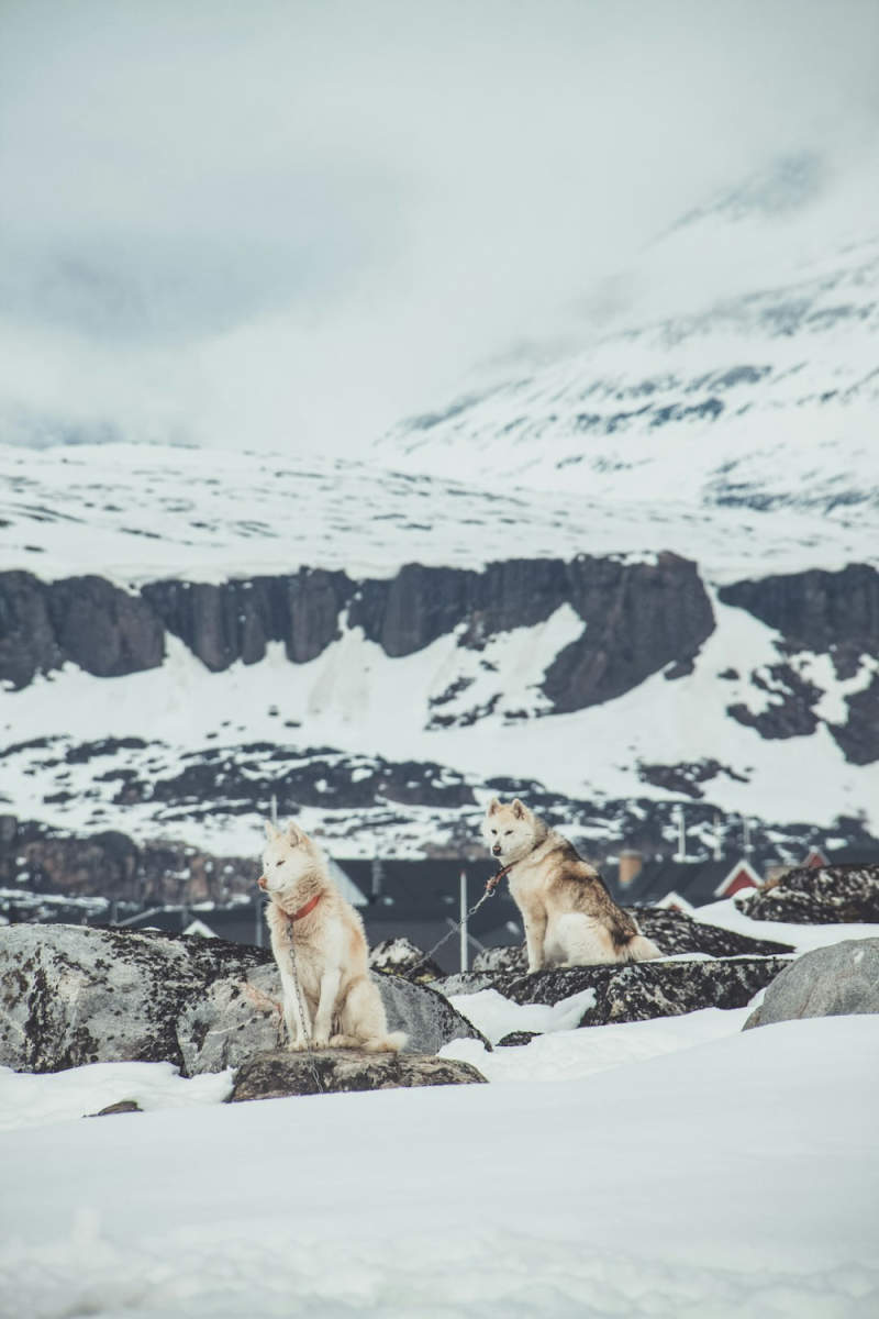 Wall Poster - Island in Greenland