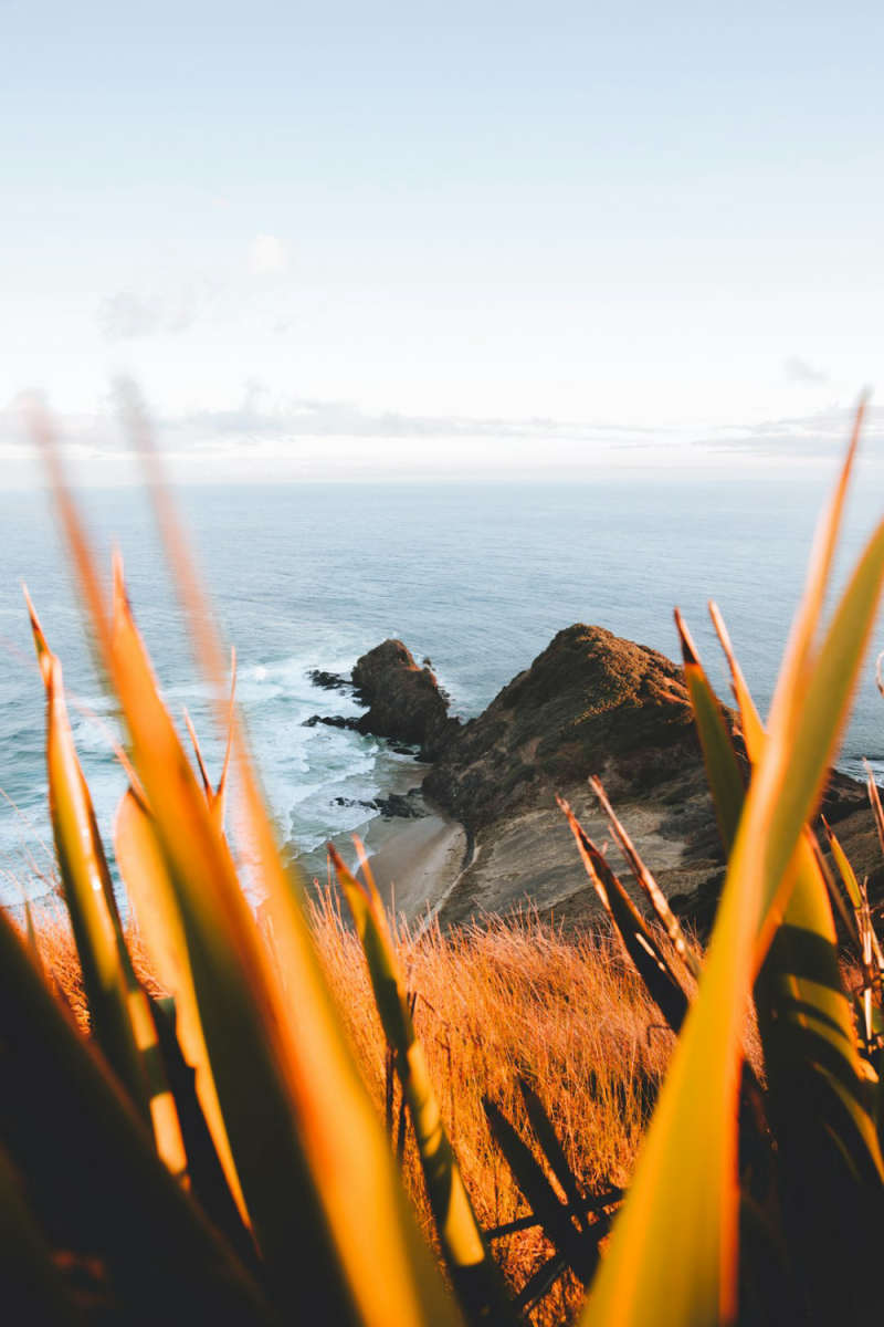 Wall Poster - Island in New Zealand