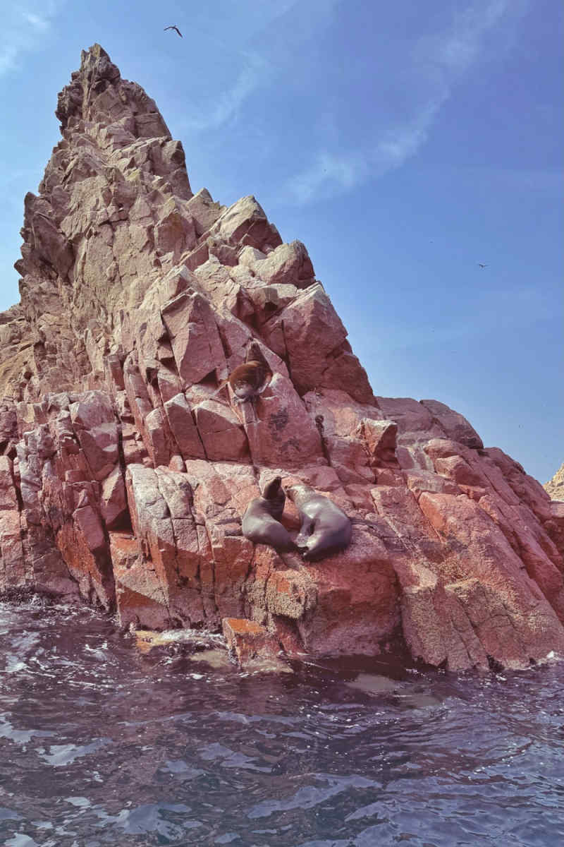 Wall Poster - Island in Peru