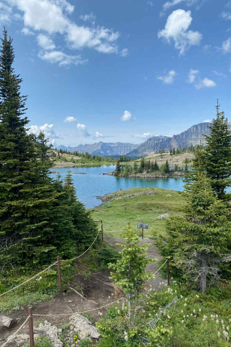Wall Poster - Island in the Canadian Rockies
