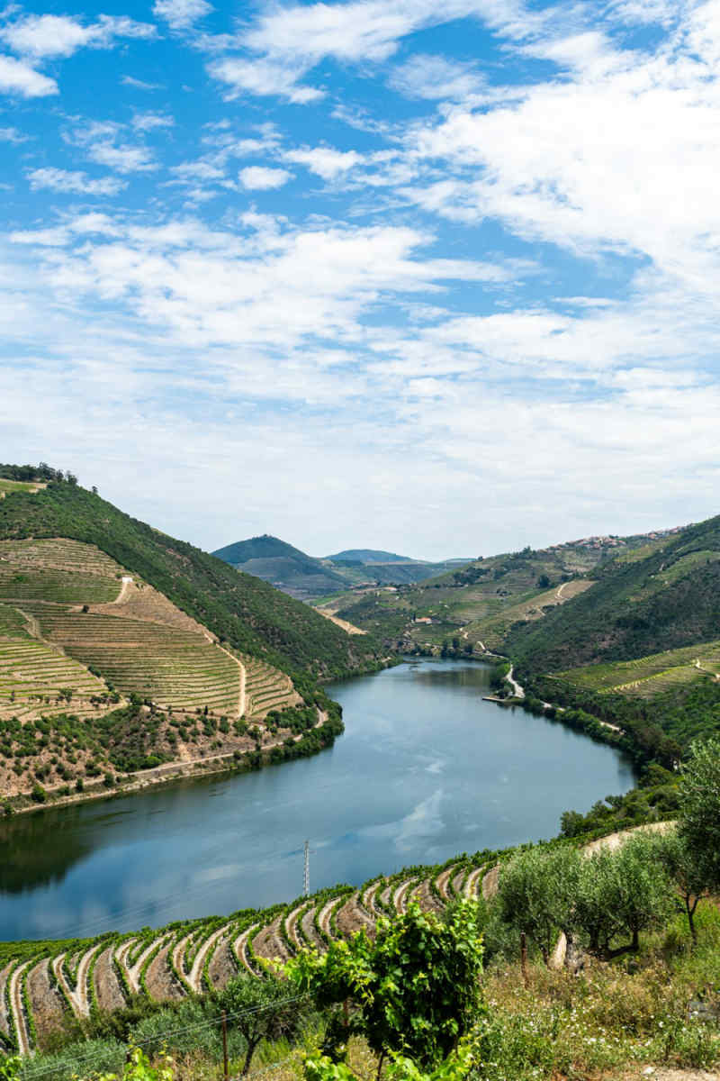 Wall Poster - Island in the Douro Valley