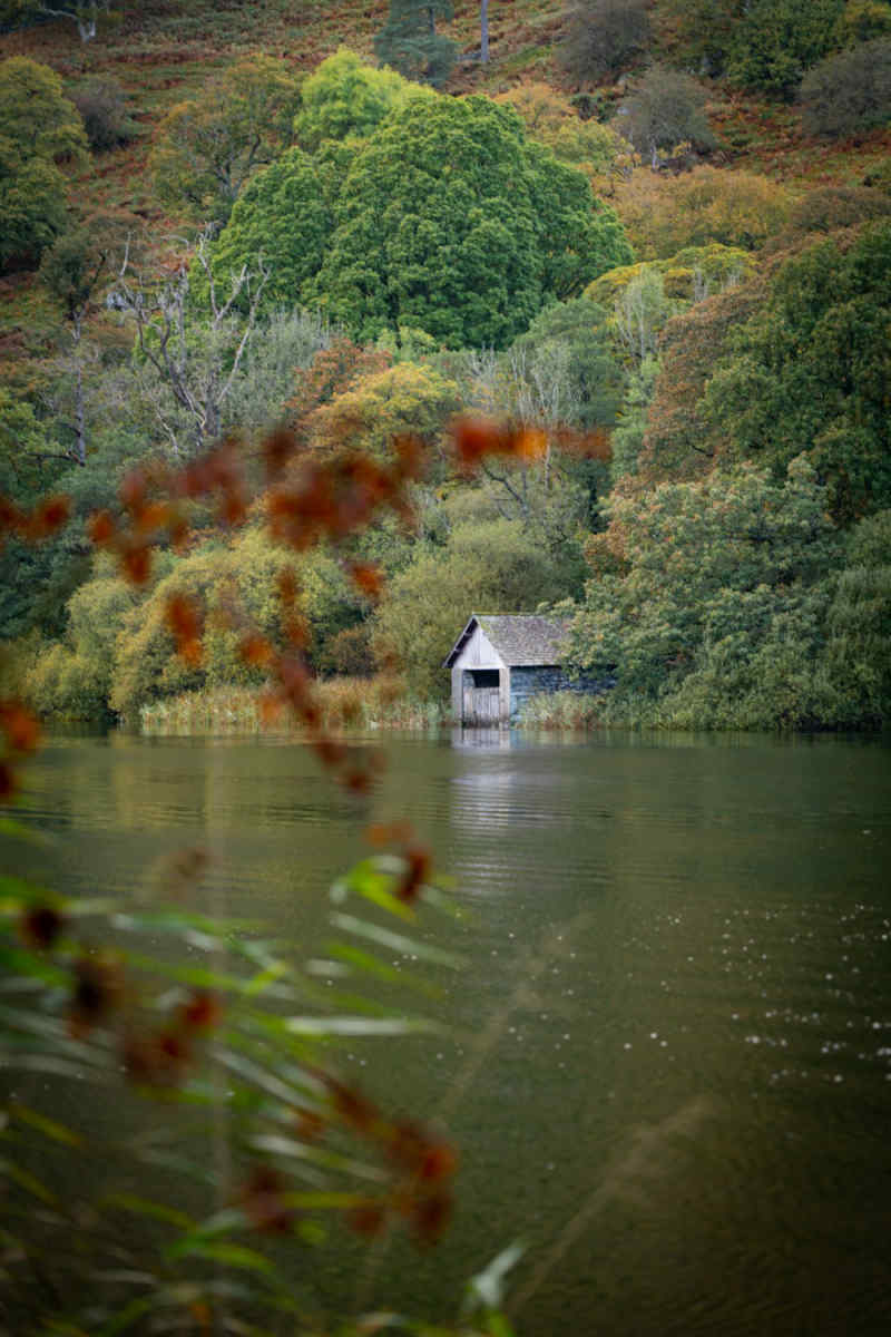 Wall Poster - Island in the Lake District