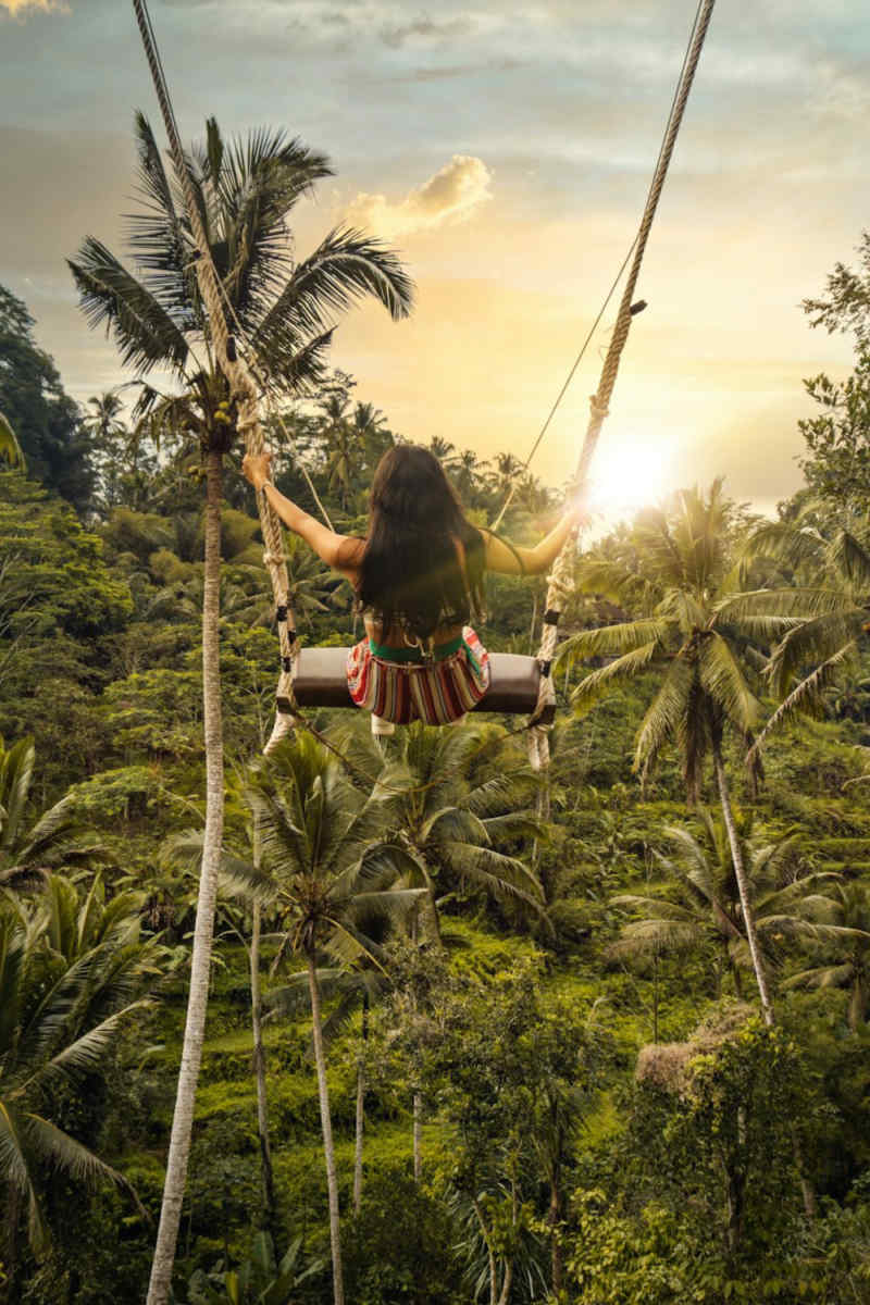 Wall Poster - Jungle Canopy in Bali