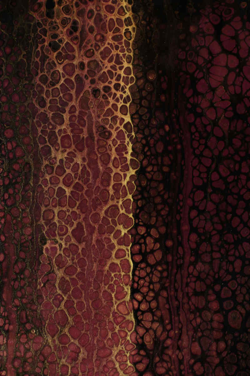 Wall Poster - Jungle Canopy in Burgundy