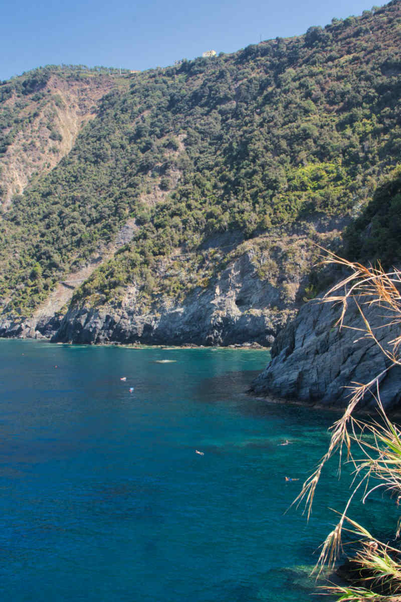 Wall Poster - Jungle Canopy in Cinque Terre