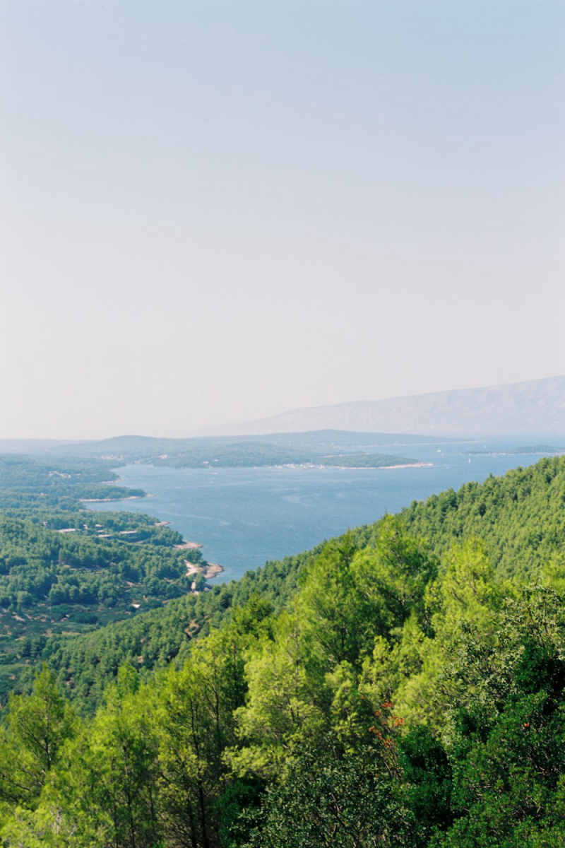 Wall Poster - Jungle Canopy in Croatia