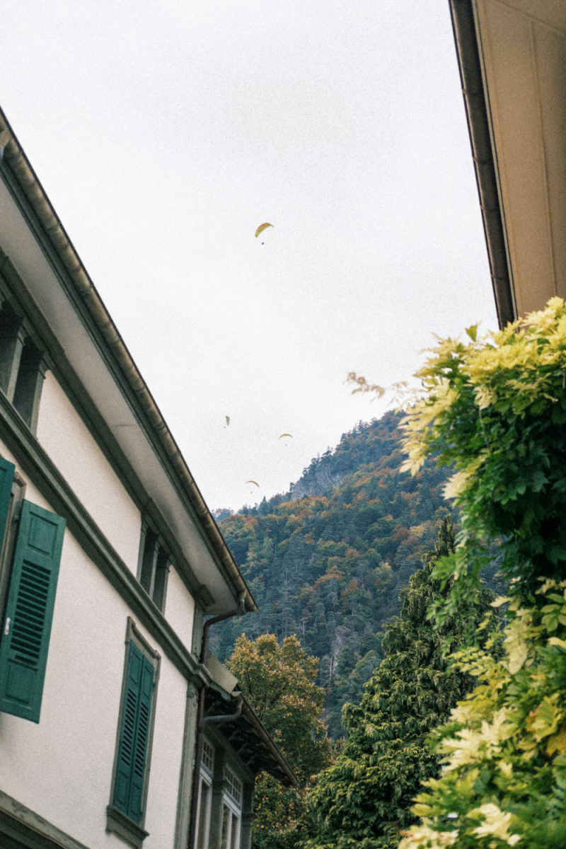 Wall Poster - Jungle Canopy in Interlaken