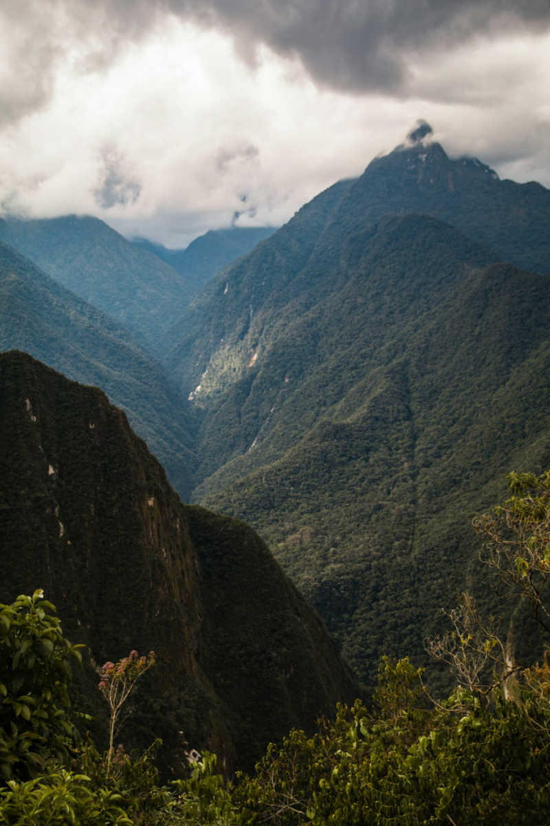 Wall Poster - Jungle Canopy in Machu Picchu