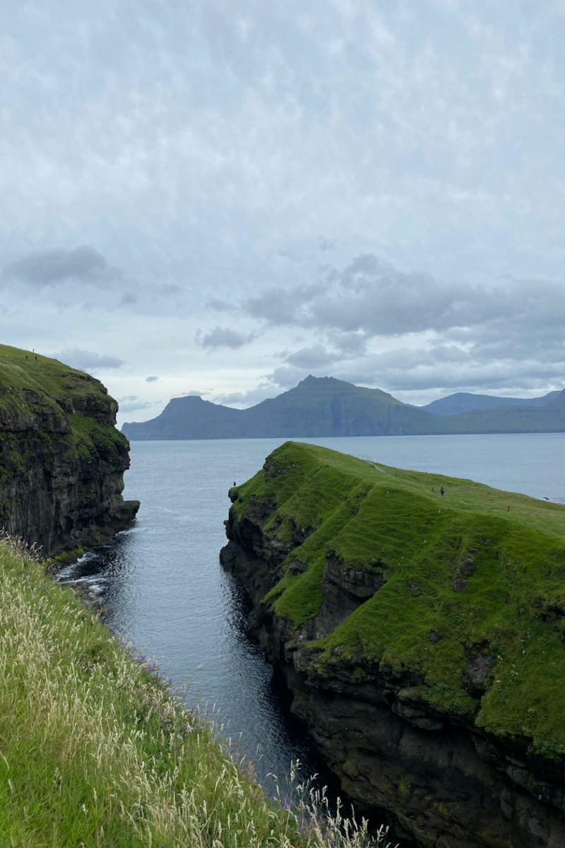 Wall Poster - Jungle Canopy in the Faroe Islands