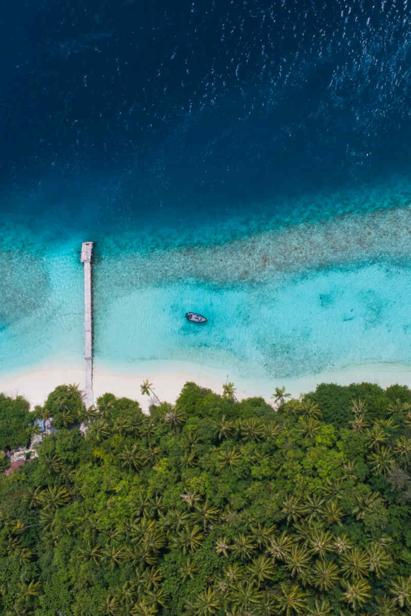 Wall Poster - Jungle Canopy in the Maldives