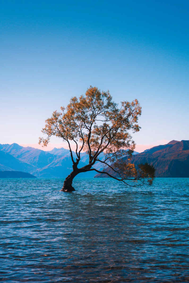 Wall Poster - Lake in New Zealand