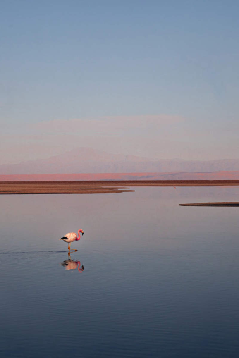 Wall Poster - Lake in the Atacama Desert