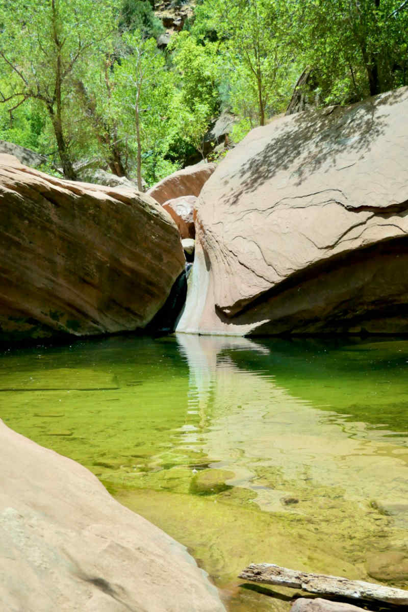 Wall Poster - Lake in Zion National Park