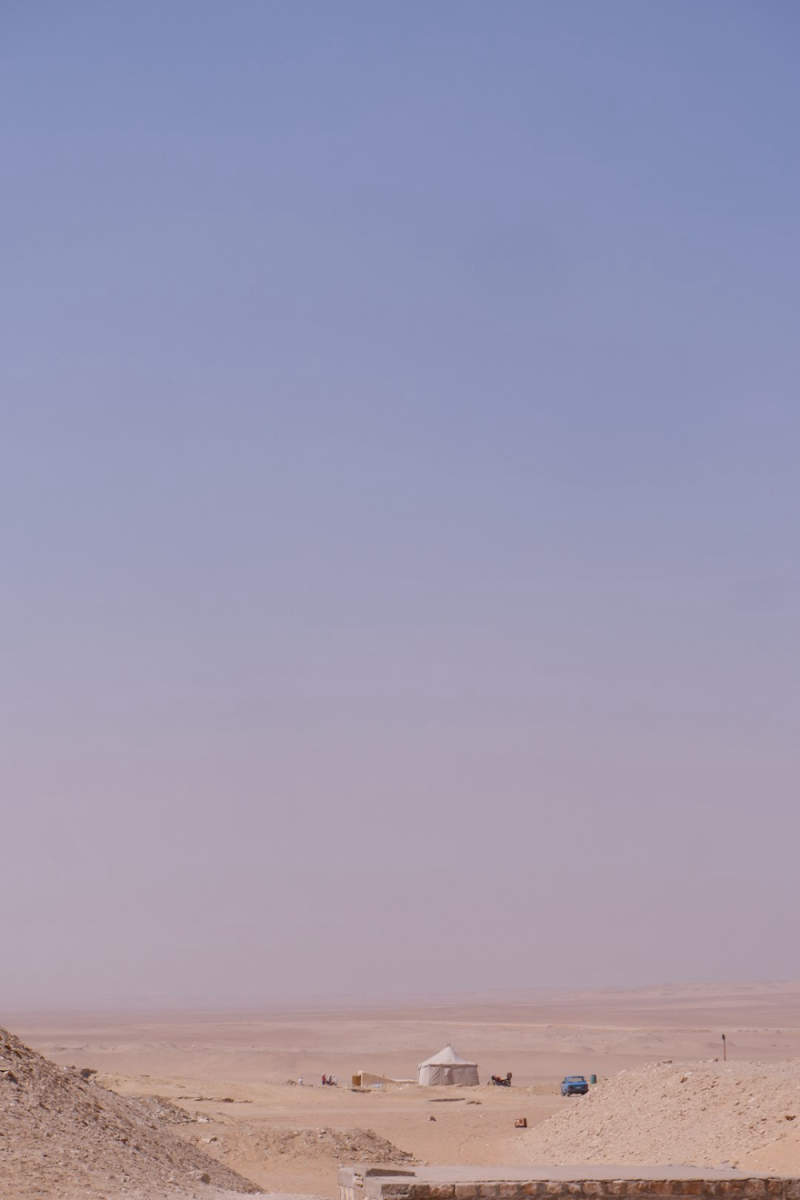 Wall Poster - Lavender Field in Egypt