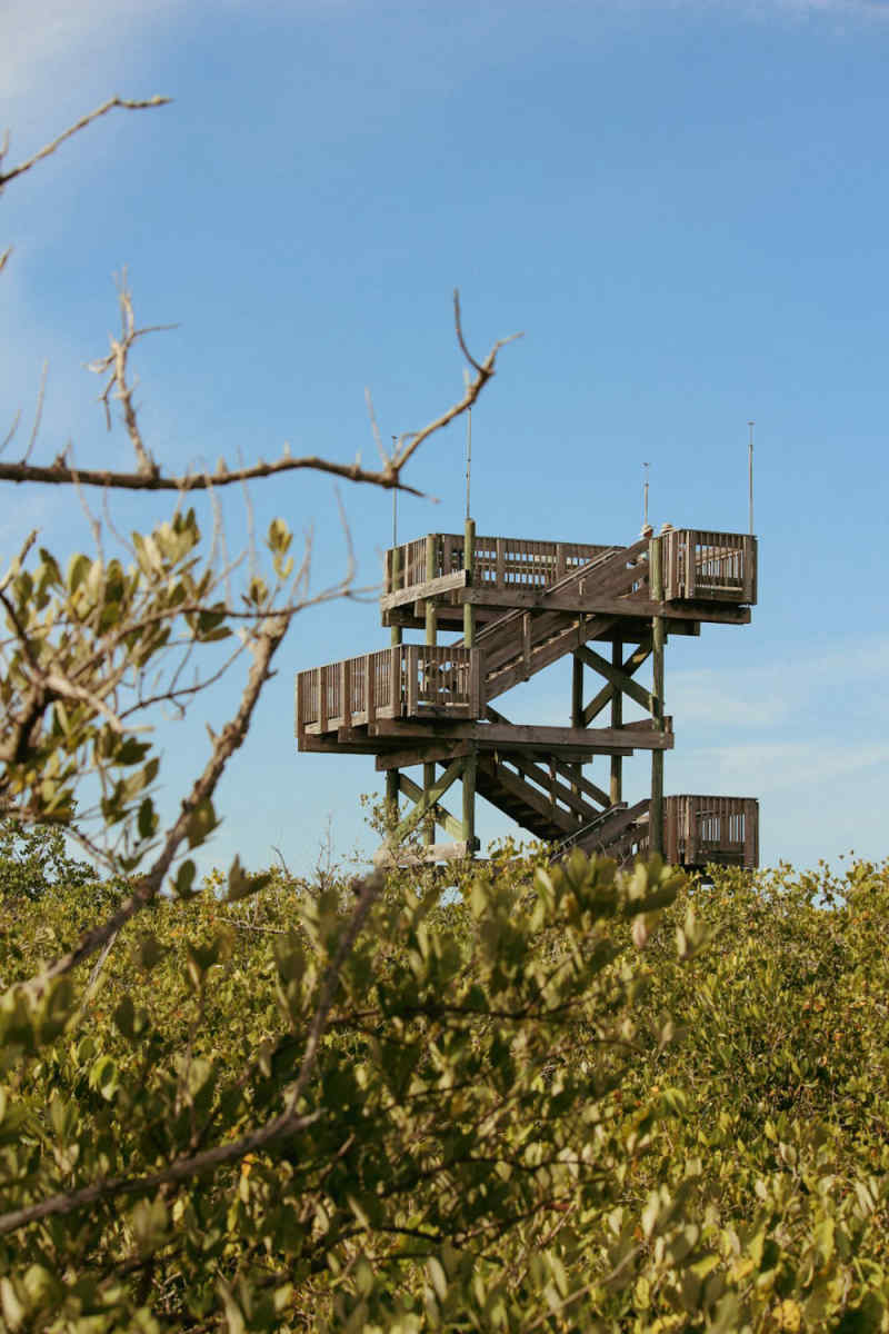 Wall Poster - Lighthouse in the Everglades