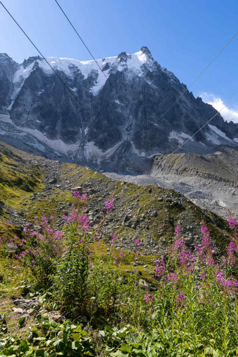 Wall Poster - Meadow in Chamonix