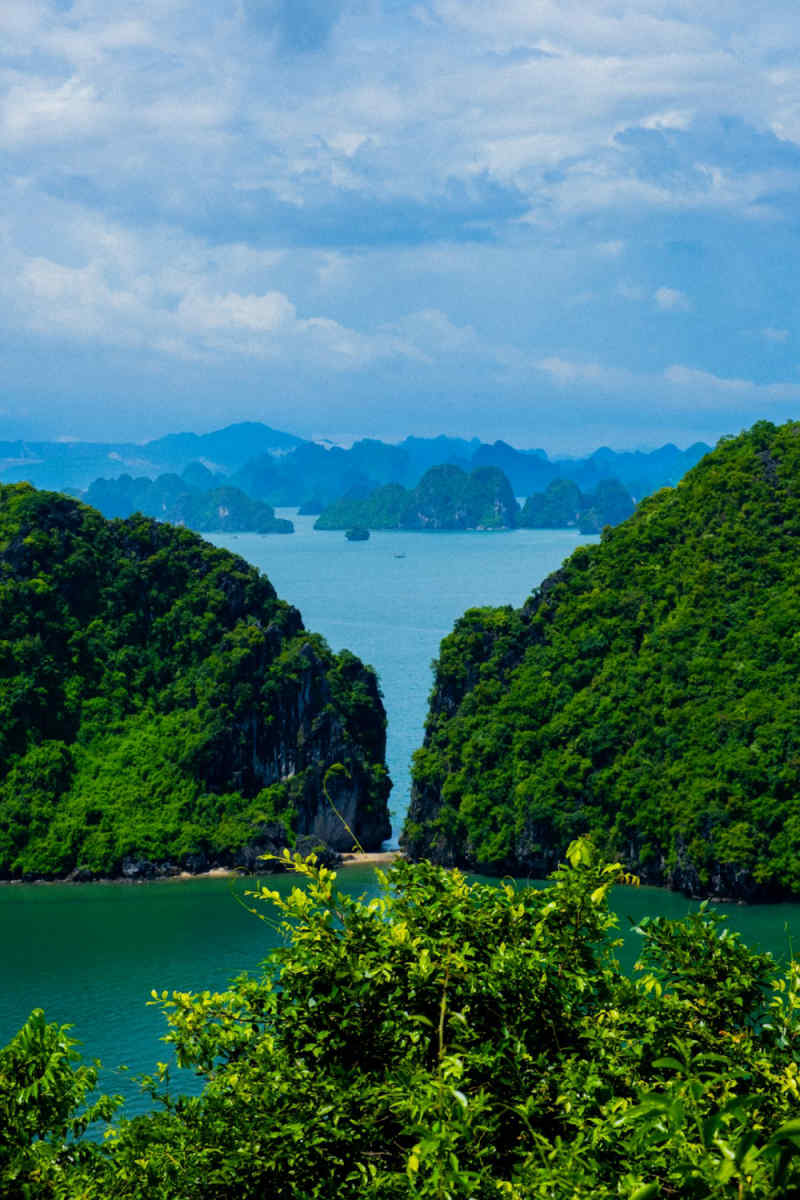 Wall Poster - Meadow in Halong Bay