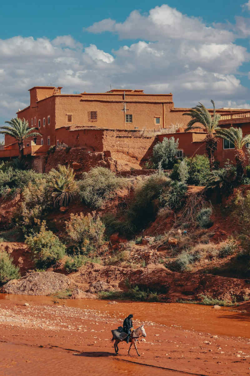 Wall Poster - Meadow in Morocco