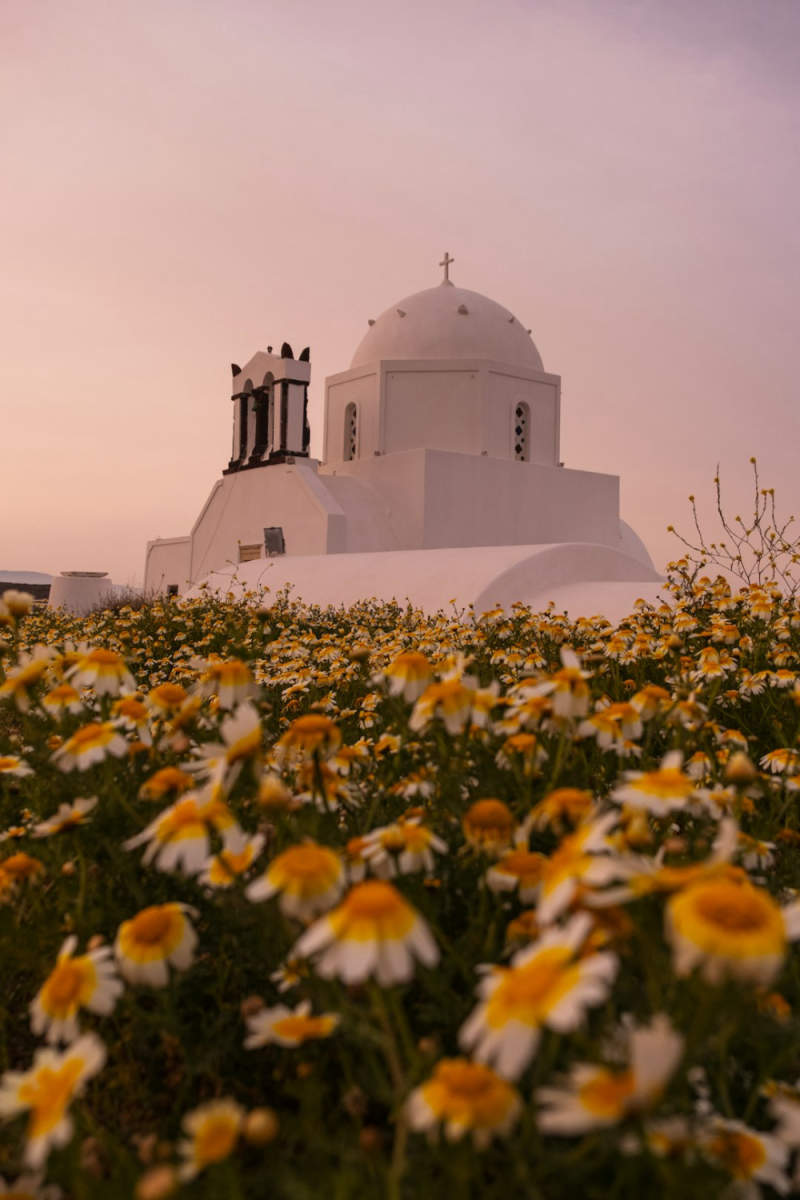 Wall Poster - Meadow in Santorini