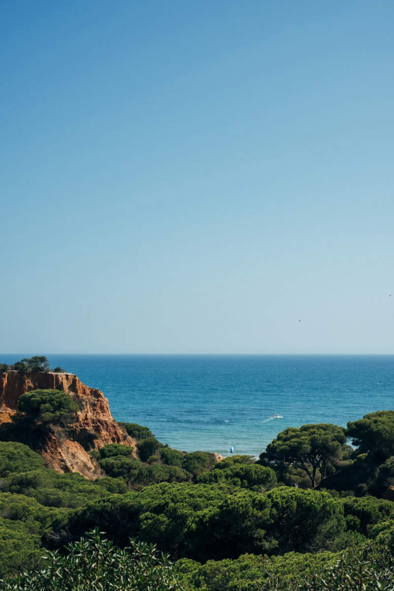 Wall Poster - Meadow in the Algarve