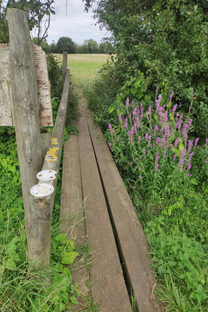 Wall Poster - Meadow in the Cotswolds