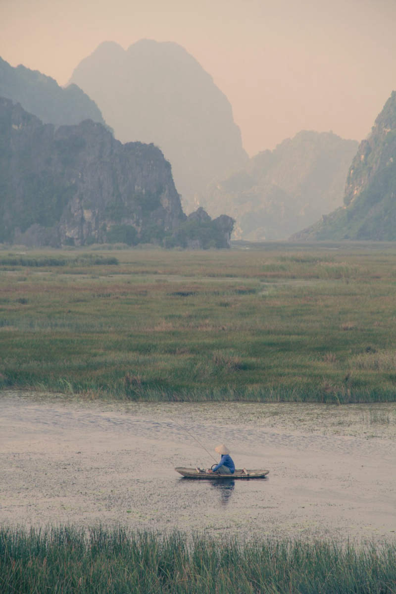 Wall Poster - Meadow in Vietnam