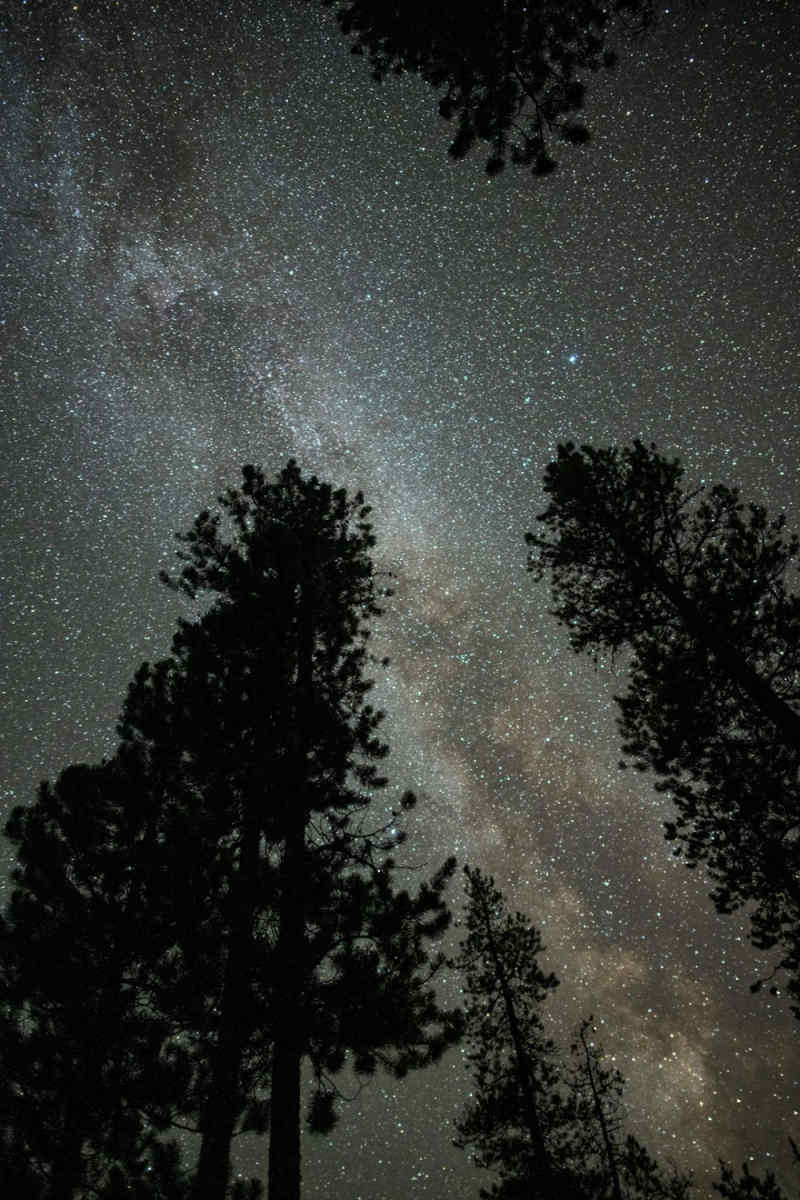 Wall Poster - Milky Way in Banff