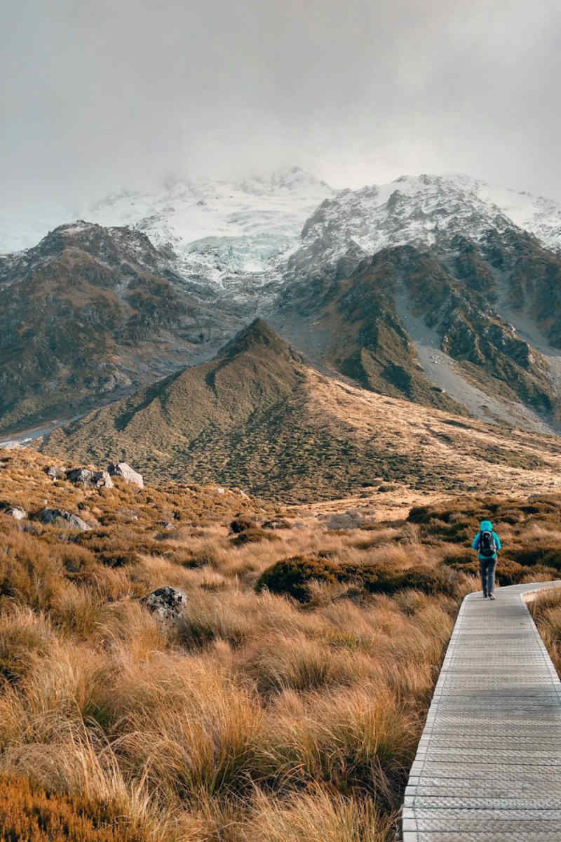 Wall Poster - Milky Way in New Zealand